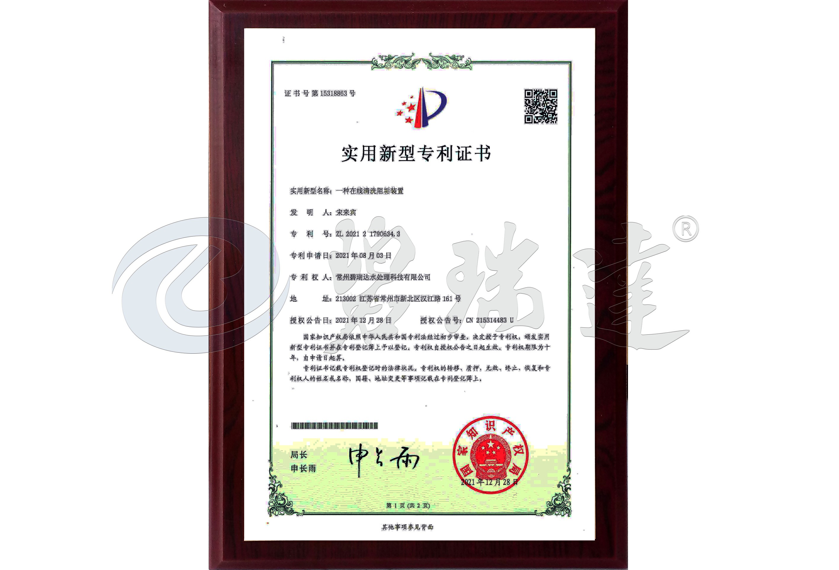 實用新型專利（一種在線清洗阻垢